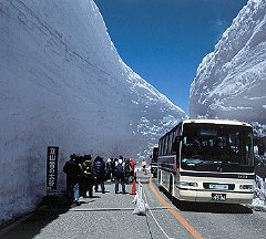 22年度雪の大谷