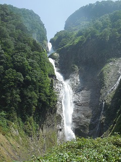 夏の称名滝